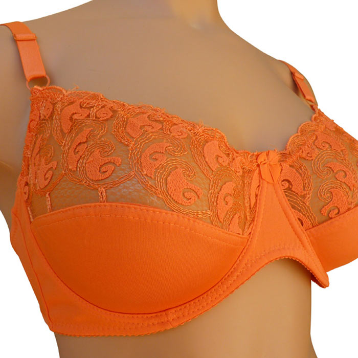 Description de l article réf e979c Lingerie Grandes Tailles